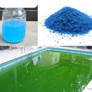 Vì sao đồng Sunfat được sử dụng để kiểm soát rong rêu