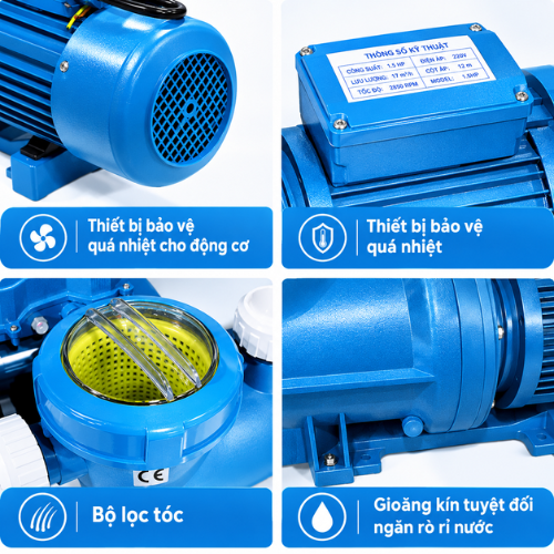 Máy Bơm Nước Bể Bơi WS