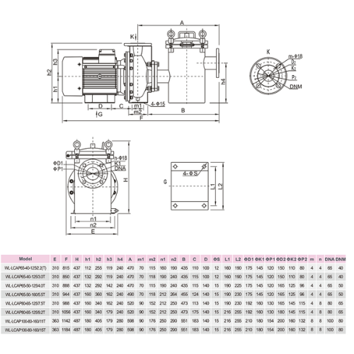 Máy Bơm Bể Bơi Laswim WL-LCAP