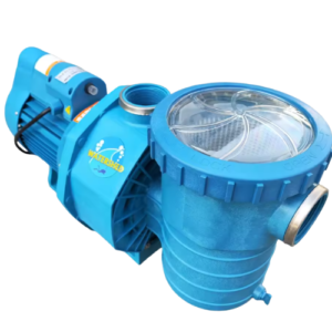 Máy Bơm Nước Bể Bơi WS